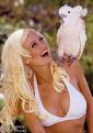 holly madison to marry hugh hefner holly madison to marry hugh hefner