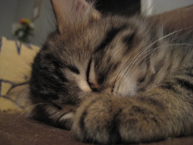 too-cute.jpg
